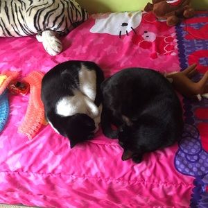 Meet your Posher, Viridiana